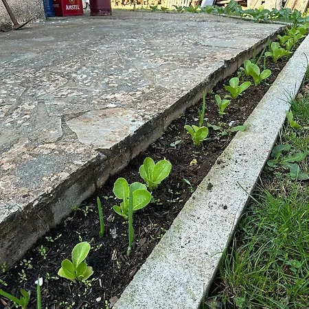 Eleni Country 2 Semesterbostad