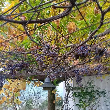 Ferienhaus Eleni Country 2 Pheneos