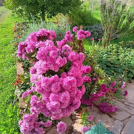 Дом отдыха Eleni Country 2