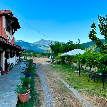 Eleni Country 2 *