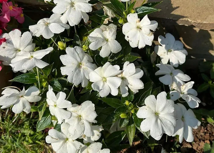 Дом отдыха Eleni Country 2