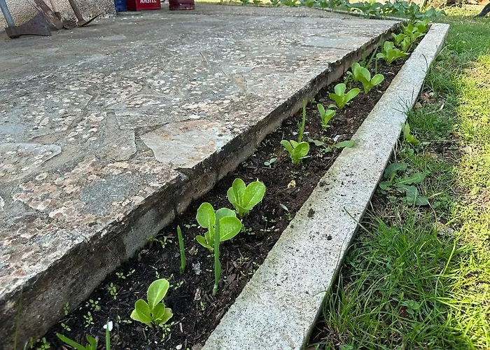 Eleni Country 2 Ferienhaus