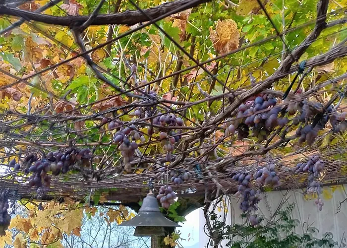 Ferienhaus Eleni Country 2 Pheneos