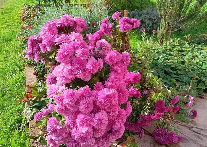 Дом отдыха Eleni Country 2