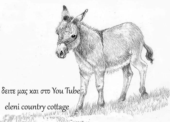 Eleni Country 2 Pheneos